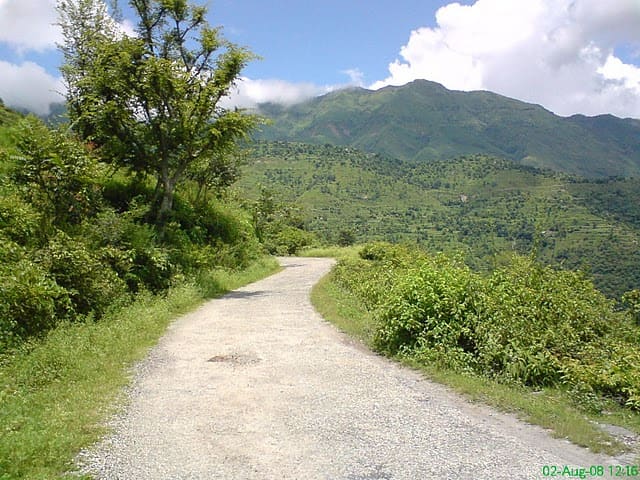 Chakrata Trip Photos - A steep and narrow road from Mussoorie to Chakrata. Don't use this road after dawn, as it is very lonely but if you will go through this route in the daytime, you will enjoy each and every thing your eyes will see.