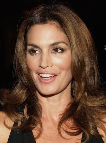Cindy Crawford, former model and now businessperson, is one of the most beautiful women in the world.