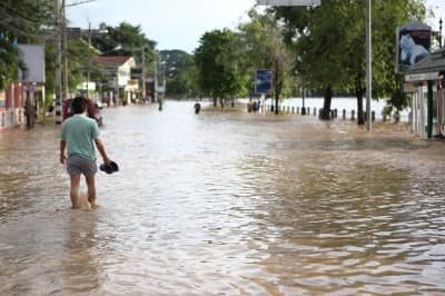 Natural disasters usually destroy everything in their path.