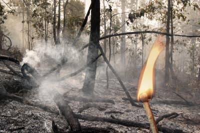 Fires start inadvertently, people get in car wrecks, and we fall and hurt ourselves.