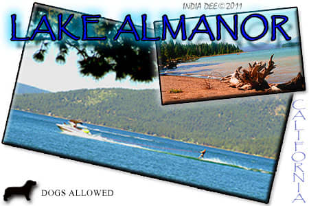 A Lake Almanor Summer Family Vacation offers great water-skiing, fishing, swimming, and many more water adventures!