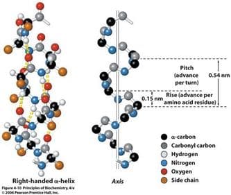 "Keratins are composed of amino acids, primarily the amino acids glycine and alanine. Given the wide variety of keratins, both alpha and beta, no single chemical composition or monomer could be defined."
