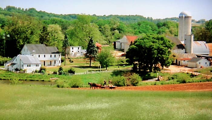 The peaceful Amish community - soon to become home to a hard bitten Philadelhia cop, and the threat of modern American bloody violence