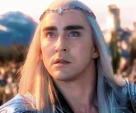 From New Line Cinema. The Hobbit's portrayal of King Thranduil comes closest to seeing what Thingol's attitude was towards his territory and outsiders.
