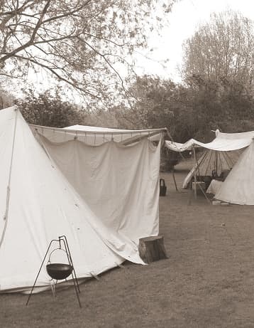 Vikings were able to survive in harsh conditions and brought war to those they wished to replace.