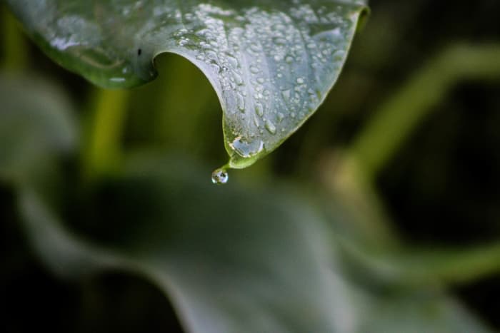 'There is no better time to crop a bad composition than just before you press the shutter release.' - Bryan Peterson