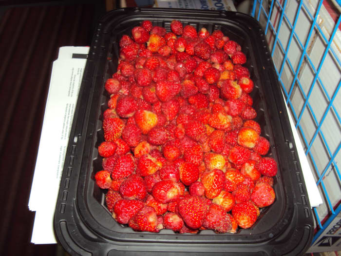 Whether fruits, nuts, or vegetables, they always somehow taste better as the result of you own labors.