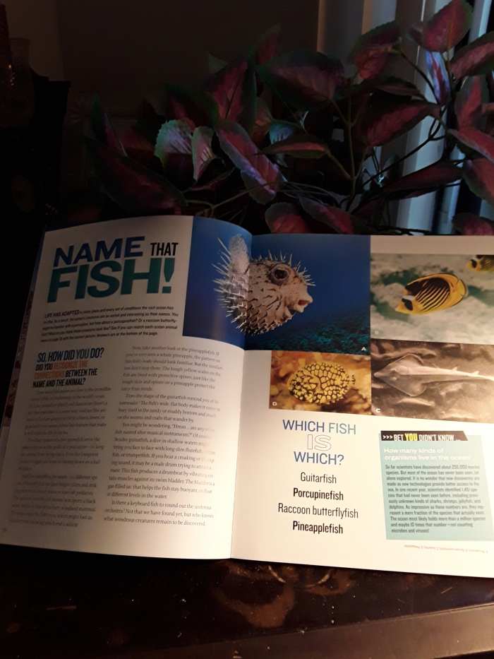 Our Oceans Are A Source For All Things Awesome In National Geographic ...