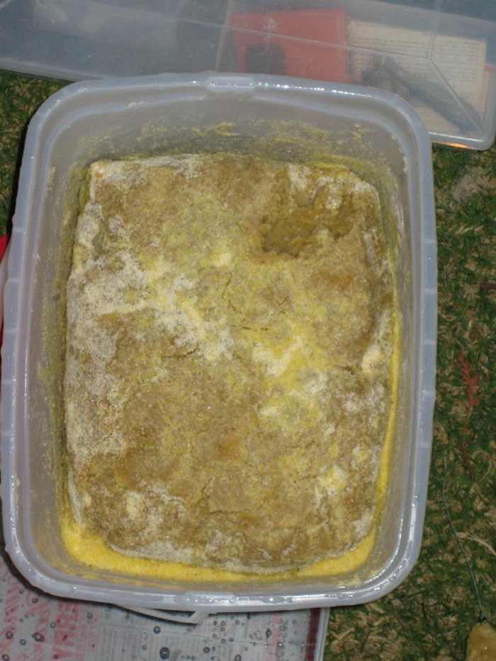 Simple Dough Bait Recipe for Catfish SkyAboveUs