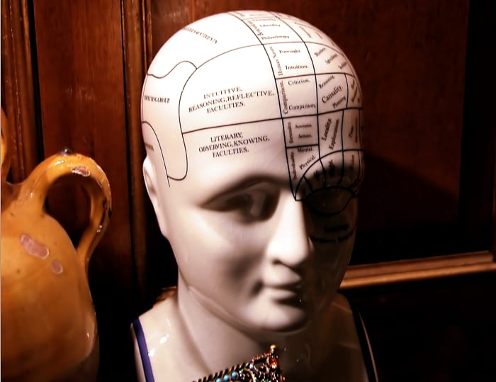 Your memory is a living organism that needs constant usage in order to thrive. The brain needs to be challenged regularly. Photo courtesy of clarita at morguefile.com
