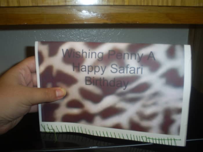 The is what the front of the card looks like. I enlarged the spots of the giraffe and added text using photoshop. I printed out this image and sewed it to the front of the card to cover up the hole made by the pop-up.
