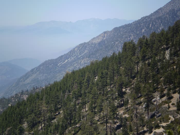 San Antonio Baldy, in the San Gabriel Mountains, is visible from many points along the Vivian Creek Trail.