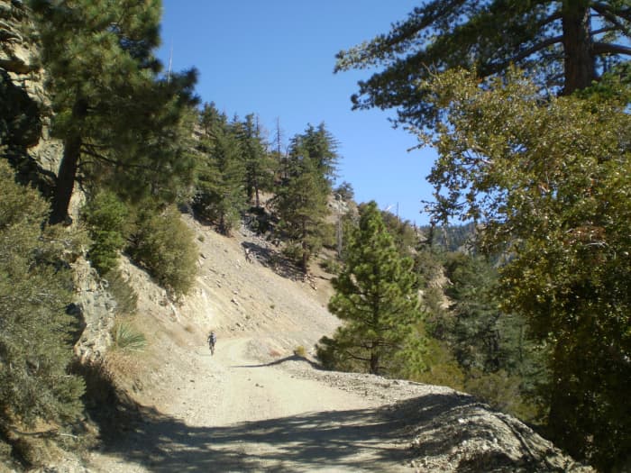 The spur trail up Mt. Baldy, barely visible, from the fire road, just in front of the mountain-biker on the left.