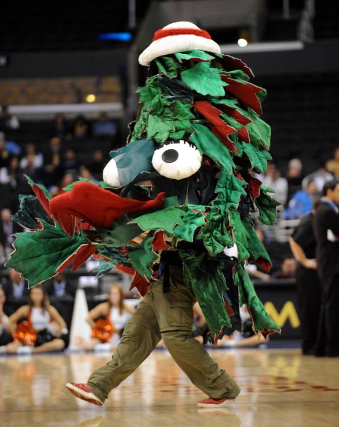 Strange But Fun College Mascots - Hubpages