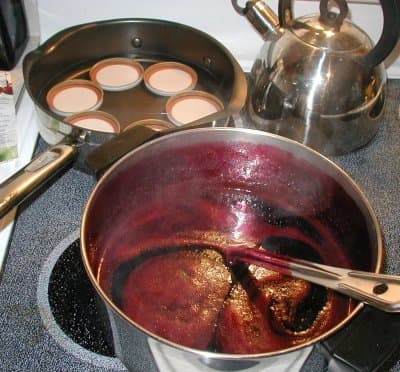 preserving canning sterilizing