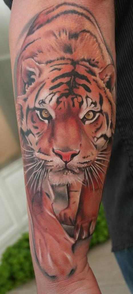 This tiger looks like he is going to jump right out and get you. The eyes are so alive.