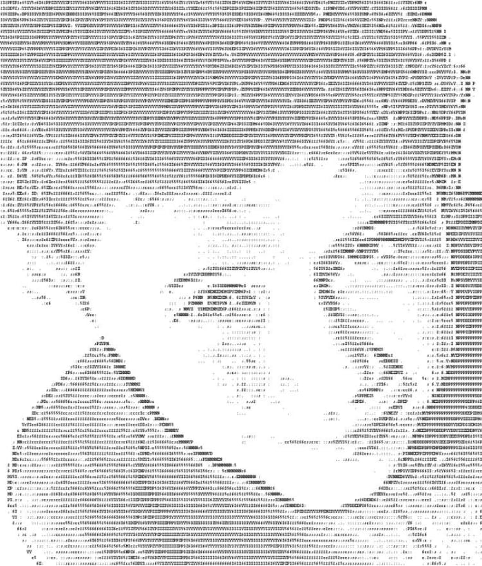 ASCII Art Portraits.