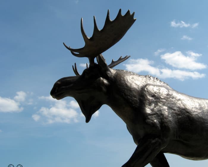 This magnificent moose statue in front of the Cabella's store in Maine. Isn't he handsome!