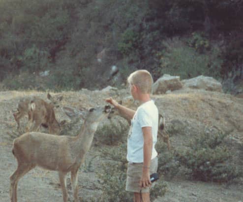 Jason petting a deer at Campus by the Sea Family Camp on Catalina Island