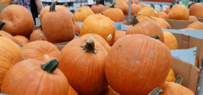 If you have funds to provide small pumpkins, have the children decorate them and display them in the library for one week. Have them return to take their pumpkin home after that. You can even have patrons vote on their favorite decorated pumpkin.