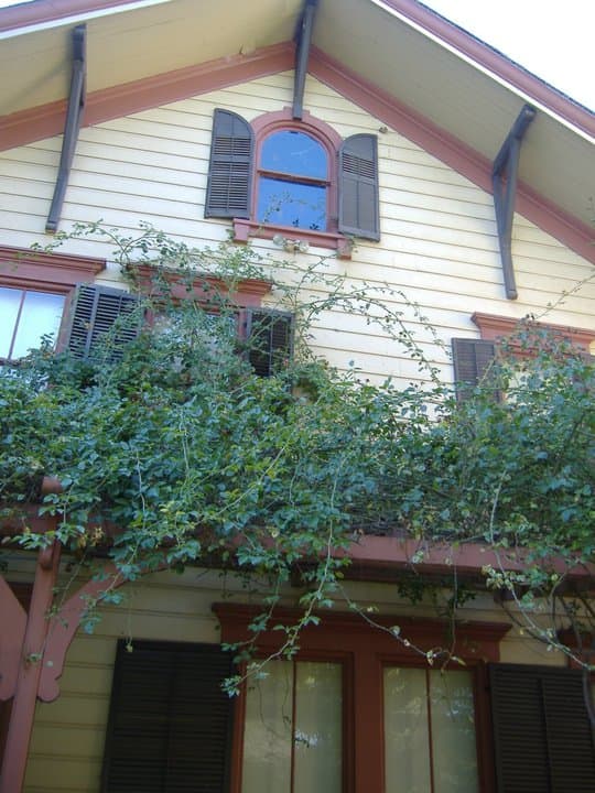 Front of Shinn Park in Fremont California. My sister-in-law says that she has seen many ghosts in this window at the front of the house.
