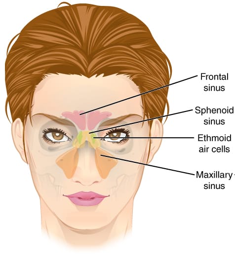 How to get rid of nasal congestion - HubPages