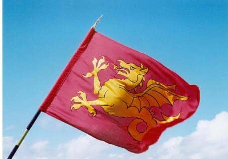 The wyvern banner of Wessex would have been borne ahead of the main body of men for identification