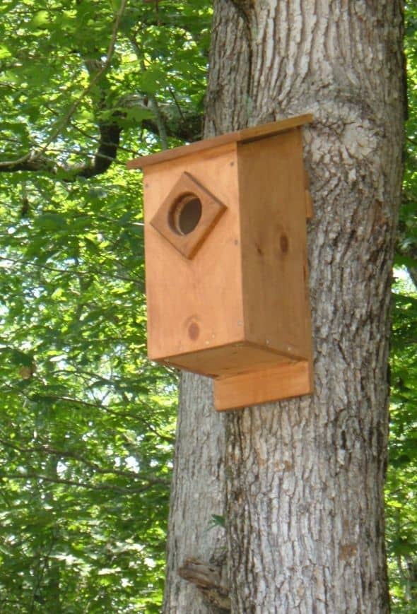 How To Build A Barn Owl Nesting Box: Barn Owl Nest Box Plans - HubPages