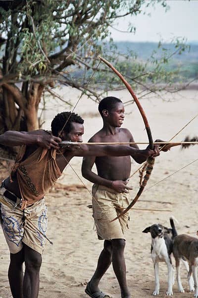 For the Hadza, the bow and arrow is absolutely vital to their survival. They use it to hunt everything from lizards to leopards.