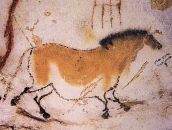 This stunning drawing gives us a valuable insight into the sort of animals that shared the world with our ancestors, in this case a wild horse, known as the Tarpan.