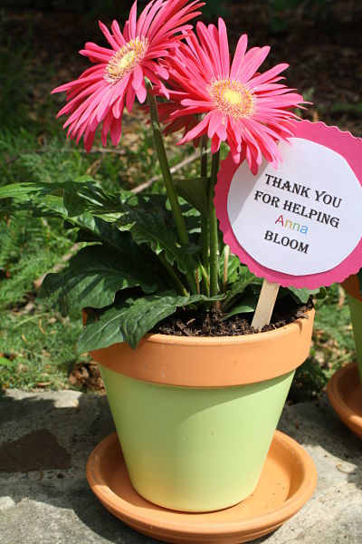 10 Homemade Teacher Appreciation Gifts: Personalized Unique Ideas ...