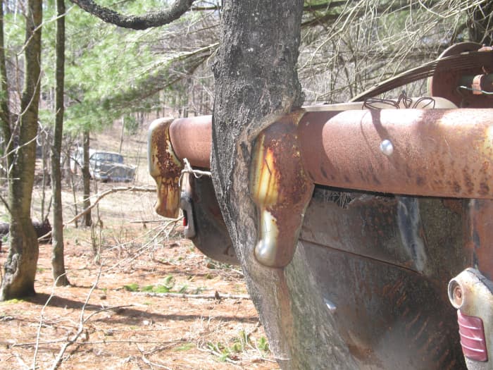 How long do you think this one has been quietly sitting on its roof in the woods?