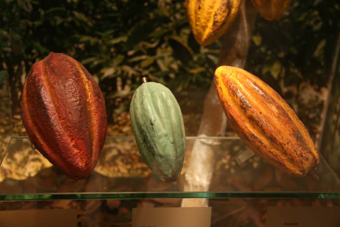 all-about-chocolates-and-the-health-benefits-of-dark-chocolate