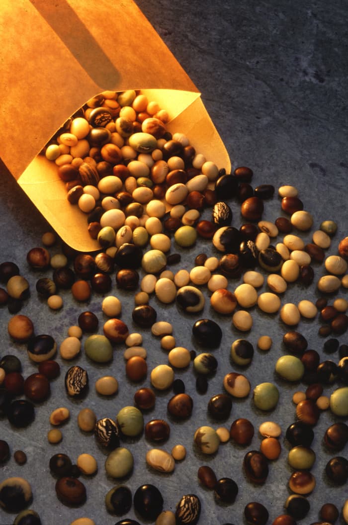 Legumes contain healthy dietary fibers.
