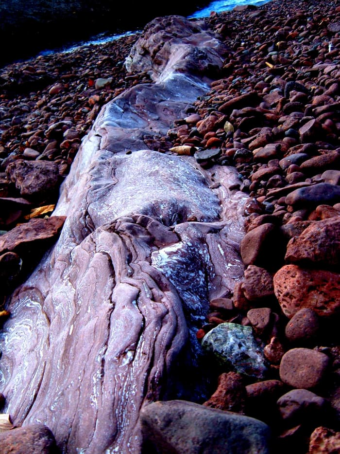 Fossilized Blue-green Algae found in Michigan's Keweenaw Peninsula. Blue-green algae is believed to be the oldest form of life on earth.