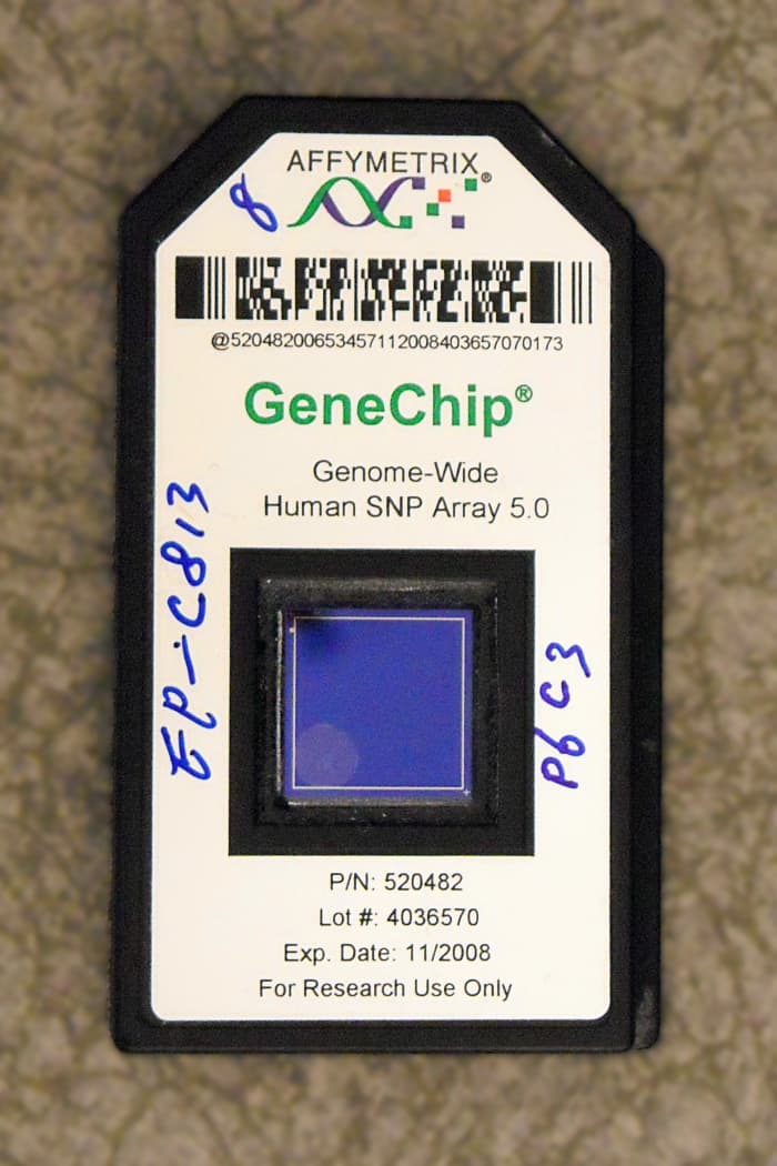 An Affymetrix Gene Chip - this microarray is used to examine multiple genetic sequences from the human genome. This type of chip may be used for genetic screening for a child with congenital birth defects.