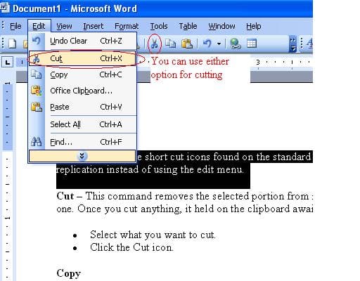 Introduction to Microsoft Word - Using the Cut, Copy, and Paste Tools ...