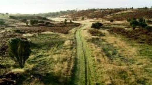 Traces can still be seen of the Haervey, the north-south military road that traversed Jylland to the Danevirke - assaulted in 1864 by an Austro-Prussian alliance