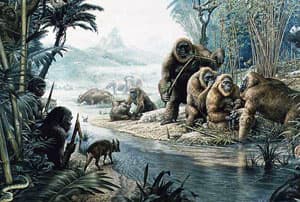 An artists depiction of when a couple of early humans encounter a group of Gigantopithecus in the Asian jungle.