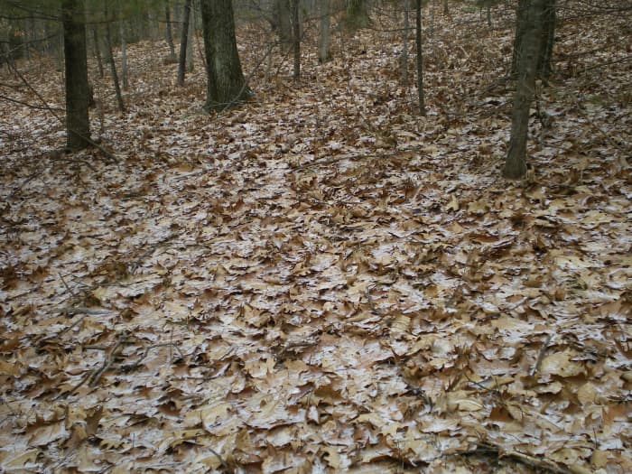 In fall you can start with a layer of dried leaves or pine needles, in spring and summer use grass clippings.