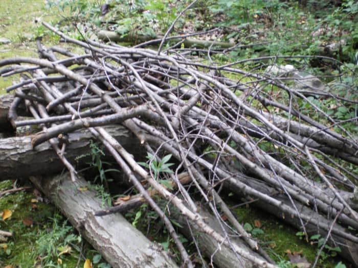 A work in progress. I will add a layer of pine branches later on for winter protection and water proofing.