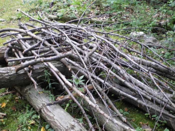 If you build it, they will come! Making a brush pile for your backyard birds is a fun, easy project.