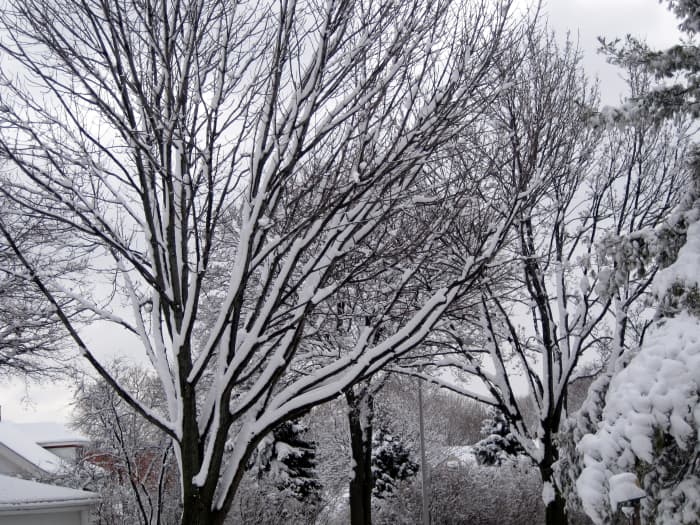 Don't let the Milwaukee winters scare you! You can still get out and have some fun during the cold winter months.