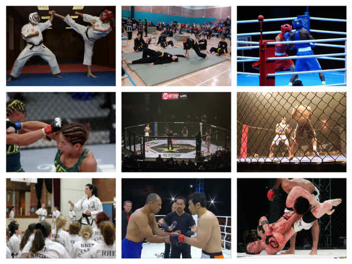 Traditional Martial Arts Versus Mixed Martial Arts HubPages