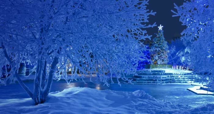 This scene shows how the color blue adds to the tranquility of the scene and reflects and enhances the wintry landscape while adding a sense of calm, elegance, and dignity.