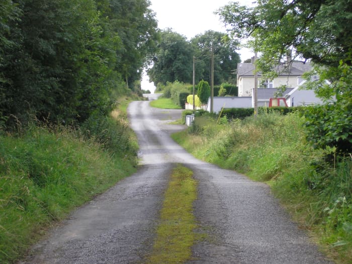 along our road there are thousands of nettles providing an unlimited supply of nettles for homemade products free of charge.
