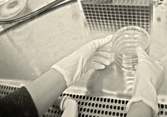 The culture and sensitivity test (C & S) identified a resistant strain of E. coli.