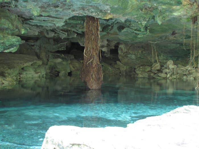 The moisture around this cenote (sinkhole) has created an oasis of ferns, tropical plants and other greenery that makes it an attractive swimming spot.