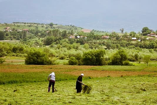 Albanian Blood Feud: Kadare's 