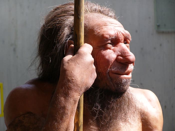 De-extinction of Neanderthals: Cloning Neanderthals would be incredibly awesome, but it is almost certain we'll never see anything like this occur. Plus, who knows how closely they would mimic Homo Sapiens.